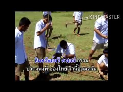 Ep.3 เรื่อง ท่าทางประกอบเพลง ป่าดงพงพี (ร้องเพลง ) วิชานาฏศิลป์ ป.5