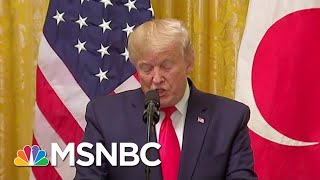 Elephant In The Impeachment Hearing: Trump Hands Russia Big Wins | Rachel Maddow | MSNBC