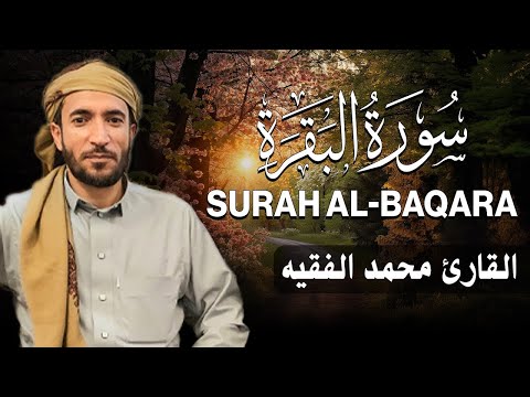 سورة البقرة كاملة للقارئ محمد الفقيه Surah Al Baqara Mohammed Al Fakih