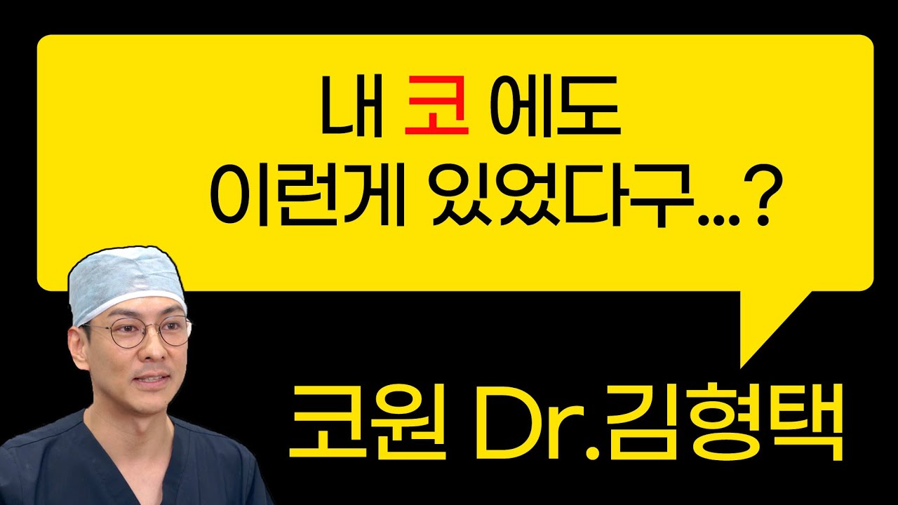 내 코 에도 이런게 있었다구...?
