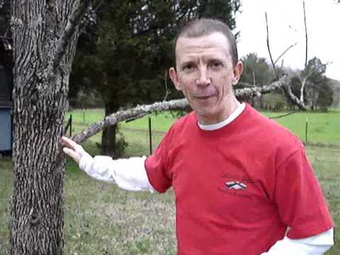 Lawn Care Maintenance & Garden Design