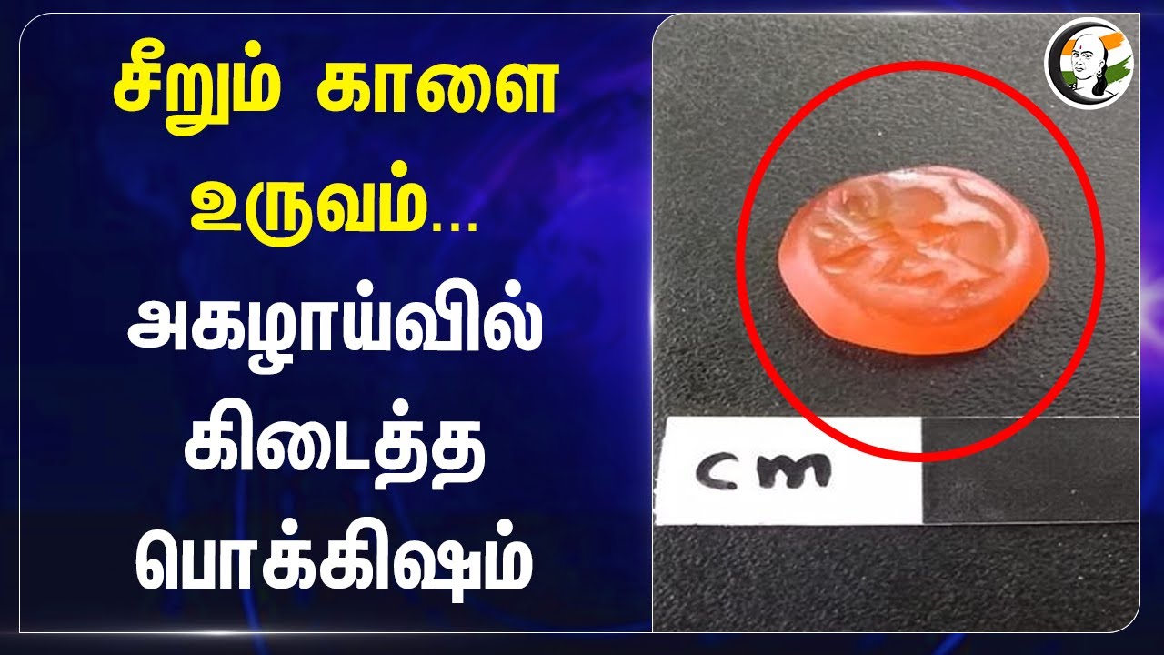 சீறும் காளை உருவம்...  Virudhunagar Excavator கிடைத்த பொக்கிஷம்  | Maharashtra | Gujarat