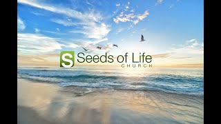 Easter Hope | Matthew 28:1-8 | Kyle Shimazaki