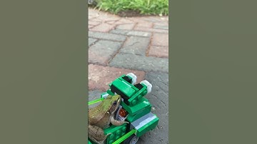 LEGO Frog Creations!🐸🧱#frog #lego #legocreation #cute #cutefrog #cool #shorts