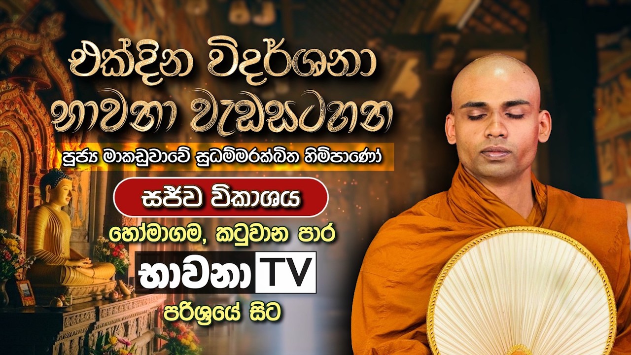 BWN1010 C | එක් දින භාවනා වැඩසටහන | තෙවන අදියර | Venerable Makaduwawe Sudhammarakkhitha Thero