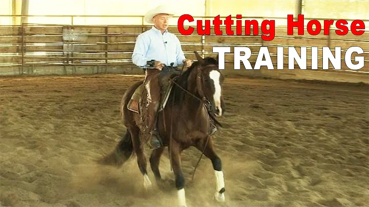 How To Train A Cutting Horse Prospect On The CowTr...