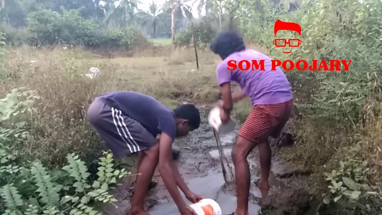 petco hours Amazing Children Fishing India - How to catch fish by hand in India