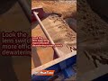 #goldmining#coalmining#factory#mining#manufacturing#PolyurethaneDewateringScreen#MiningSolutions