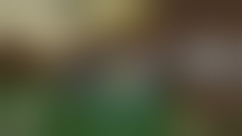 WHAT THE ACTUALL FUCK!