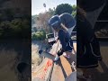 凄まじい勇気を持ち合わせた少女→感動したら負け