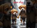 This puppy's bro have no cash to buy someone's help, so the rich men make fun of him #animahal
