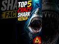 Sharks Are More Terrifying Than You Think 😳#sharks #sharkfacts #ocean
