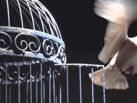    يا غربة رسينا موسيقى إيمان البحر درويش