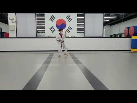 KBS스포츠예술과학원 온라인태권도대회 (공인품새 초등 2학년부 태극 3장 김강민)