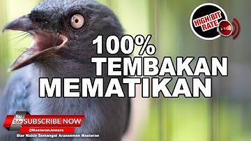 🔴 Srigunting ABU Gacor Full Nembak Cililin Tengkek Gereja Necret ❗️