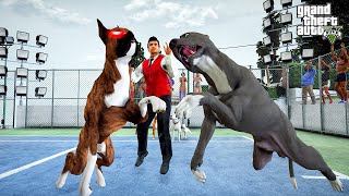 Thumbnail for PİTBULL TERMİNATÖR VS CANAVAR BOXER BALBOA FİNAL DÖVÜŞÜ! - GTA 5