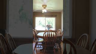 707 W ida St video tour