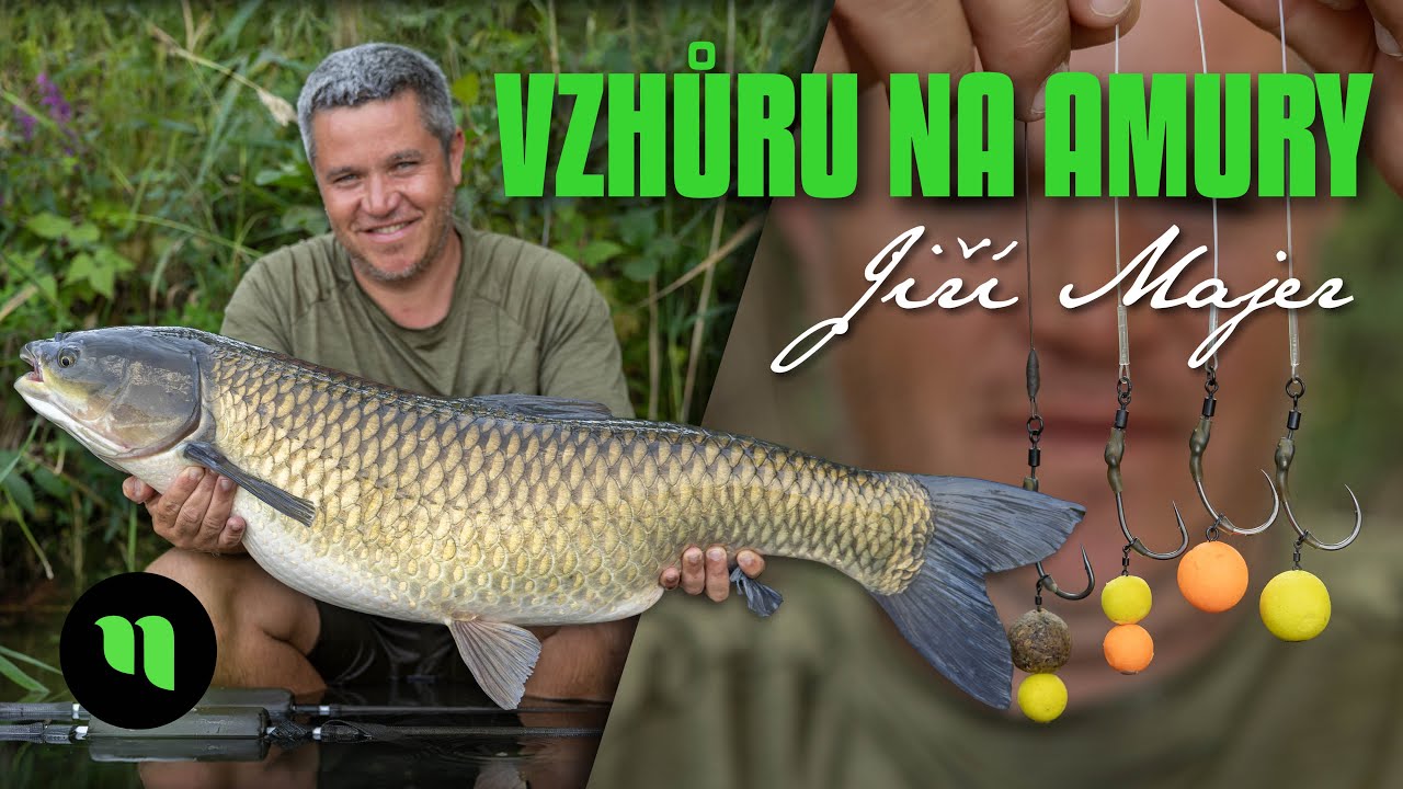 Amur jako bejk! 🐂 | Jak chytá amury Jirka 