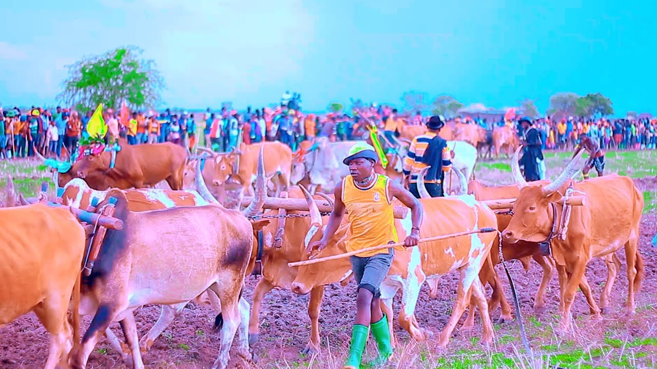 Ndama Songi _-_ Ntabhaji Part 2 _-_ (Official Video)