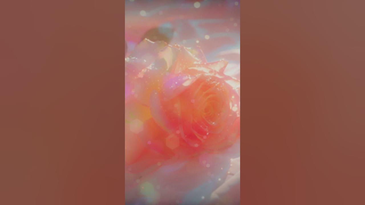 lizzo, sza ✨ special ✨ ~ lyrics #lizzo #sza #special #lyrics