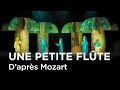   trailer  une petite flte daprs mozart  opra participatif jeune public