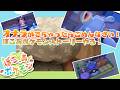 🔴オナラが出ちゃったらごめんなさい！ぽこあポケモンのストーリーをすすめる！