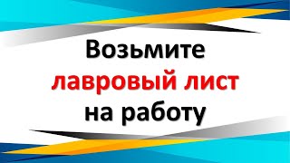 Ритуал с лавровым листом для улучшения финансов на работе