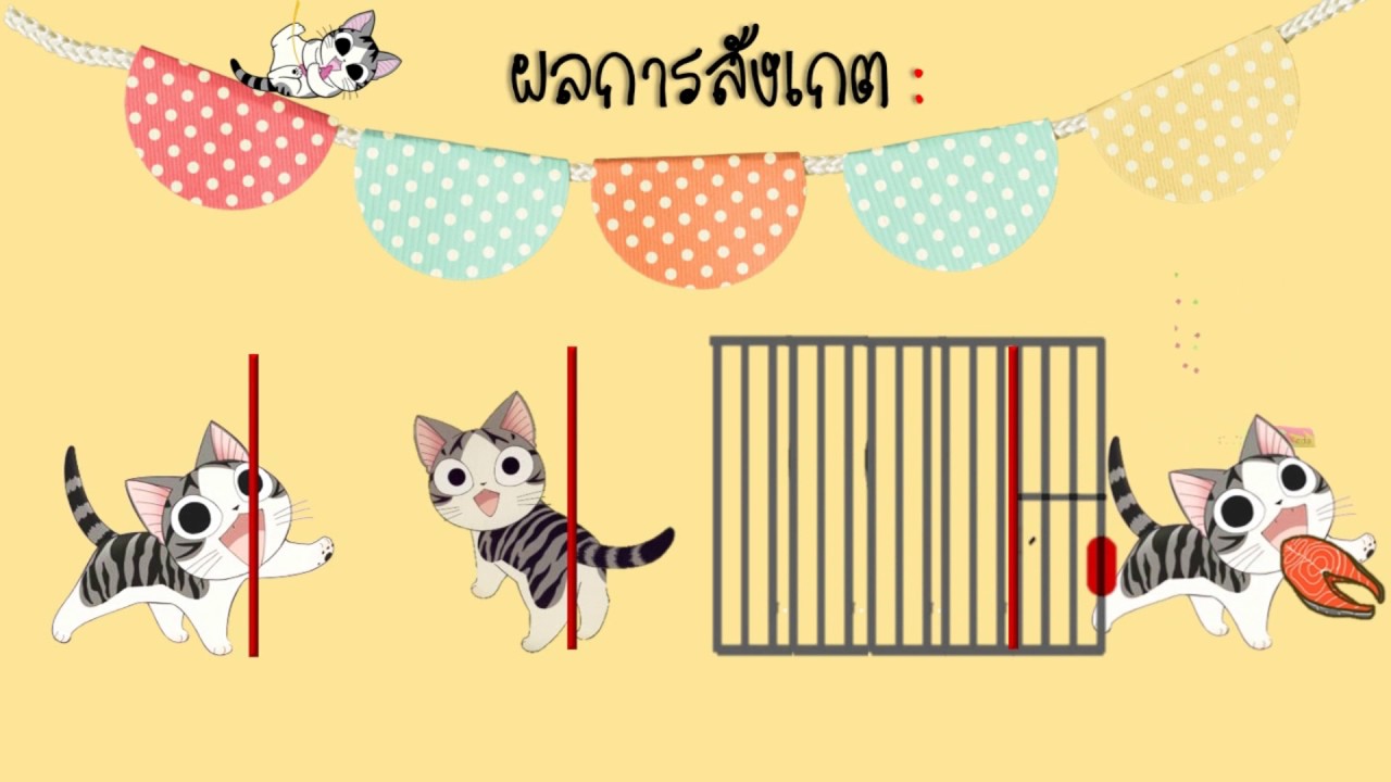 การลองผิดลองถูก  New Update  ทฤษฎีการวางเงื่อนไขแบบต่อเนื่องของกัทธรี มรภ.จันทรเกษม