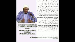 SOURCES ET FONDEMENTS DE LA CROYANCE DES GENS DE LA SUNNA N°14 PAR DR MOUHAMED AHMED LO D4 HA screenshot 4