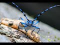 Positive News - New Species Being Discovered Faster Than Ever At a Rate of Over 16,000 a Year