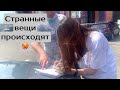 VLOG ❤ Все очень странно 😐 Ради работы. Жаркий денёк