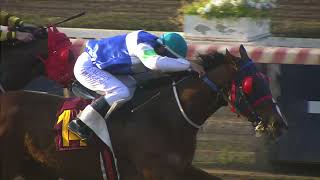 Vidéo de la course PMU PRIX FILTRADO