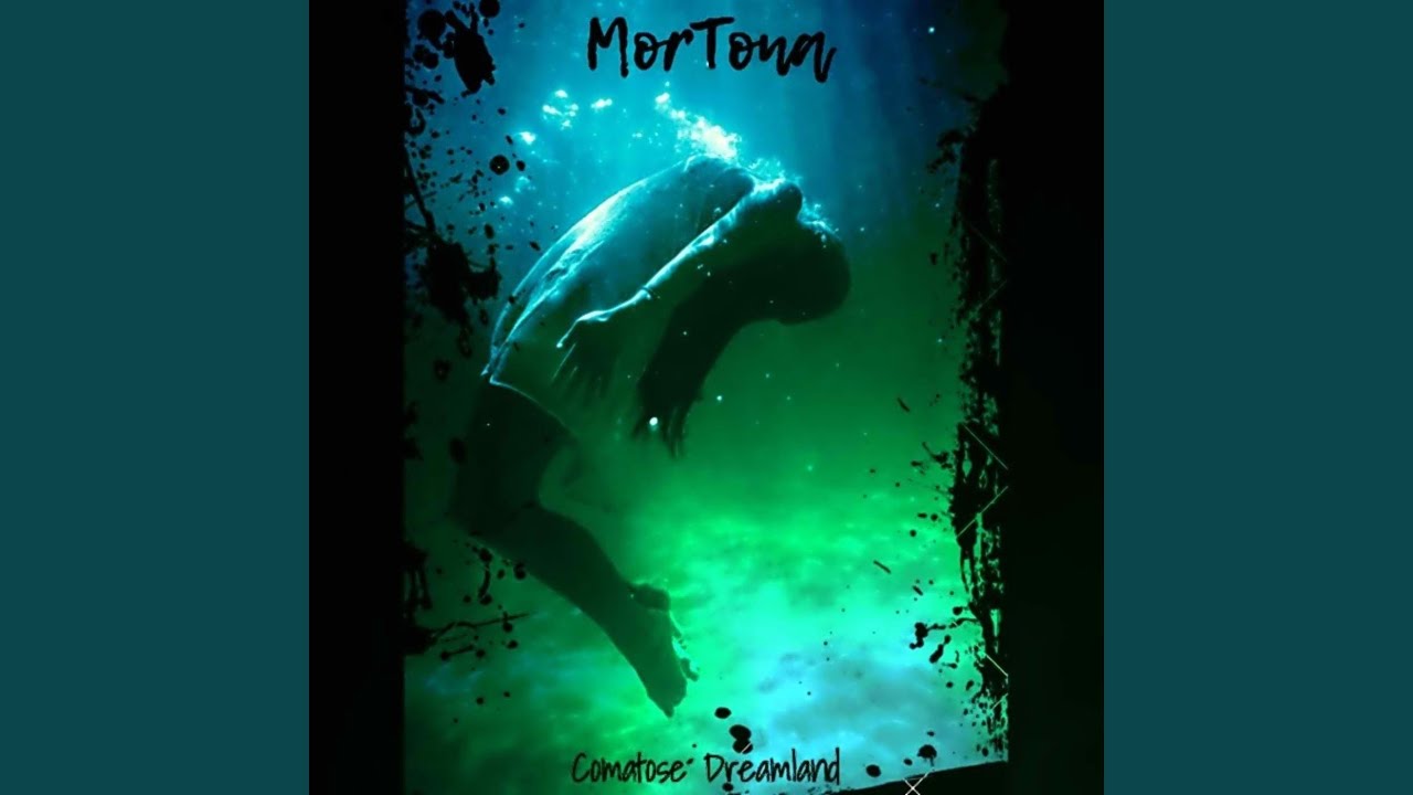 Trapted - MorTona | Shazam