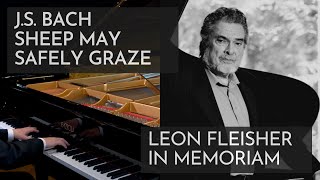 Sheep May Safely Graze Piano - Leon Fleisher Tribute
