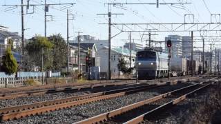 1月9日 東海道本線 EF66-129牽引 5073レ