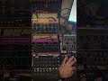 behringer edge,crave,spice,td3mo and minifeak #electronicmusic #synth