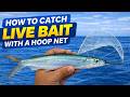 Easy How To Catch Live Bait Using A Ballyhoop Net In The Florida Keys 