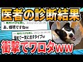 【ワンちゃん編】ドクターに言われた衝撃的な言葉【2ch面白いスレ】