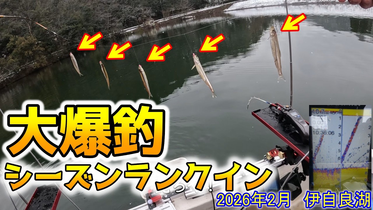 釣れすぎる伊自良湖で記録を出す