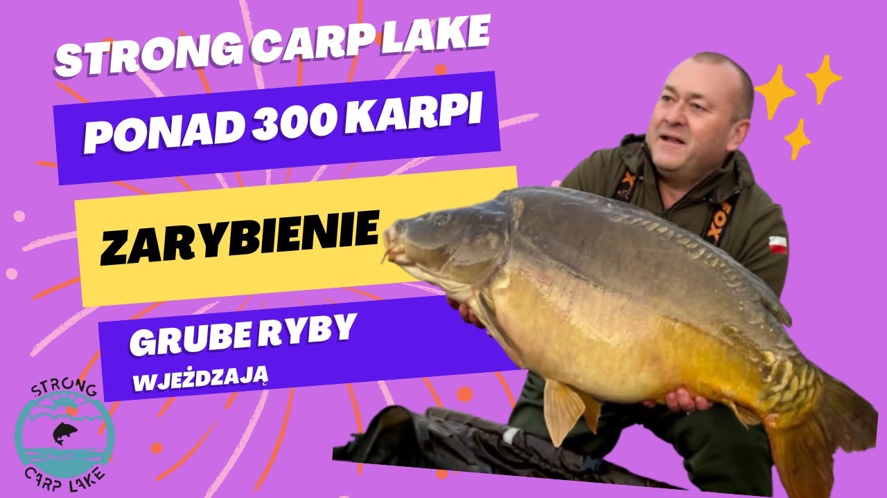 PRZYJAZD GRUBYCH RYB! Wpuściliśmy ponad 300 karpi  SZOK! Część 1