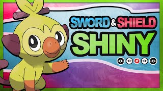 LIVE SHINY GROOKEY IN 395 EGGS - POKEMON SWORD AND SHIELD HUNTING