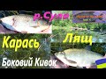 #Сула # Лящ Карась # Боковий кивок #РибачуЯкУмію