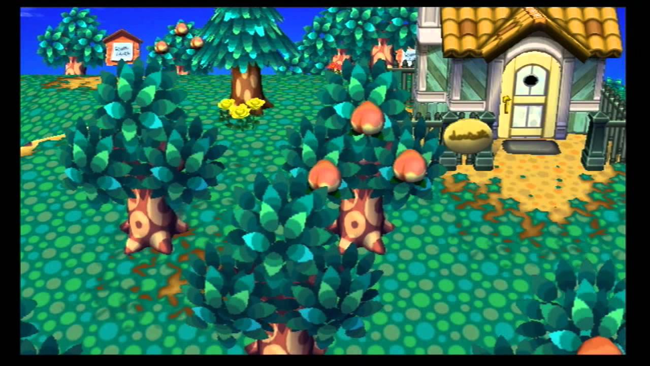 1on1 CoOp Animal Crossing City Folk Ep. 1 to TaintVil