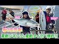 【釣り時季】春の玄界灘！電動ジギング&電動タイラバ爆釣‼︎