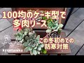 【多肉植物】100均のケーキ型で多肉リース