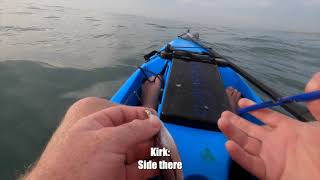 Go Fish Top Tip- Snoek Fillet Tip