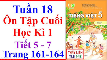 Tiếng Việt Lớp 5 Tuần 18 | Ôn Tập Cuối Học Kì 1 | Trang 161 - 164 | Kết Nối Tri Thức | Tiết 5 - 7