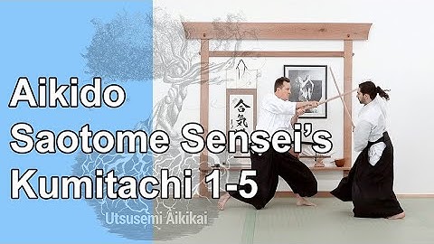 Mitsugi Saotome Sensei