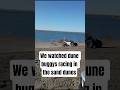 The Moses Lake Sand Dunes are hopping
