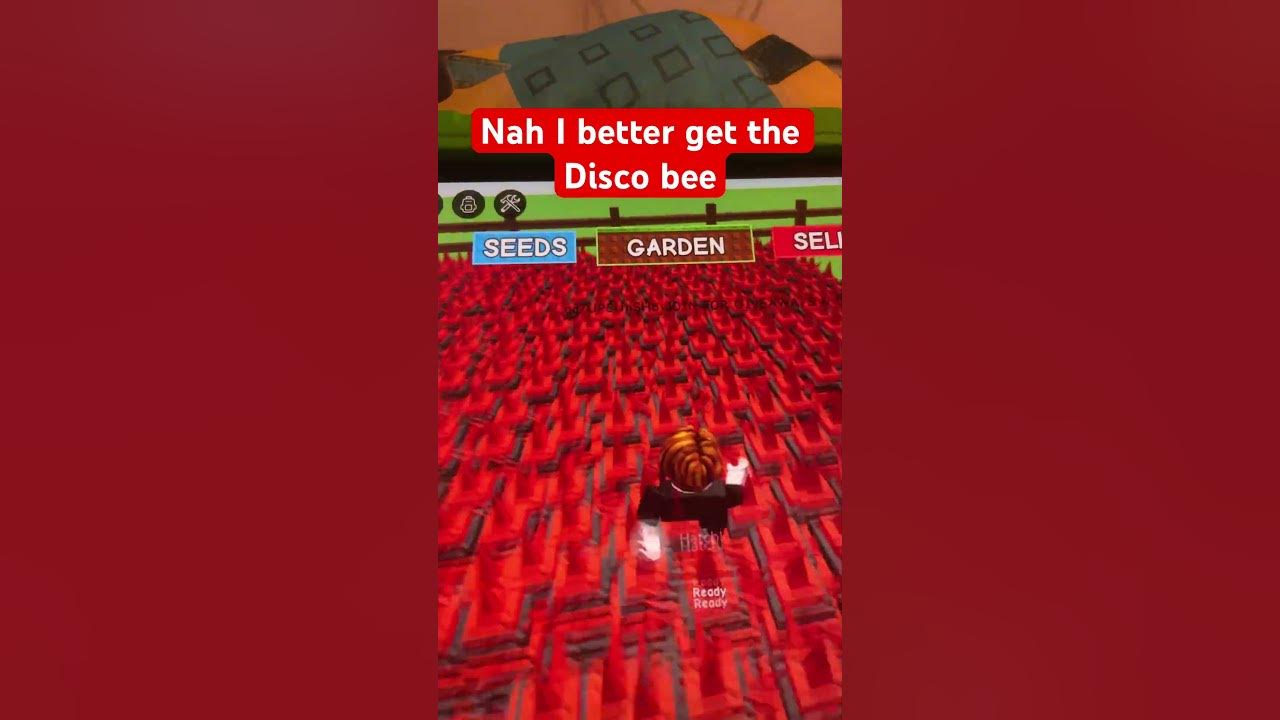 If I don’t get it I will crash out If I don’t get it I will crash out